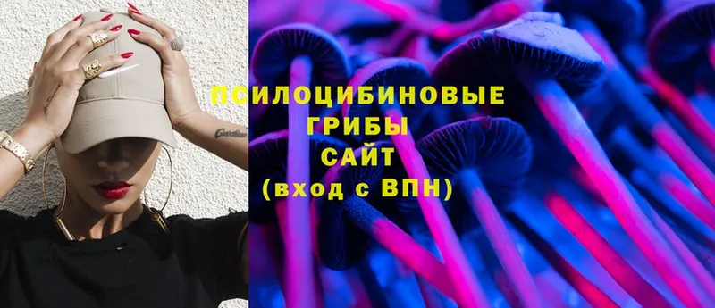 Галлюциногенные грибы Psilocybine cubensis  Саки 